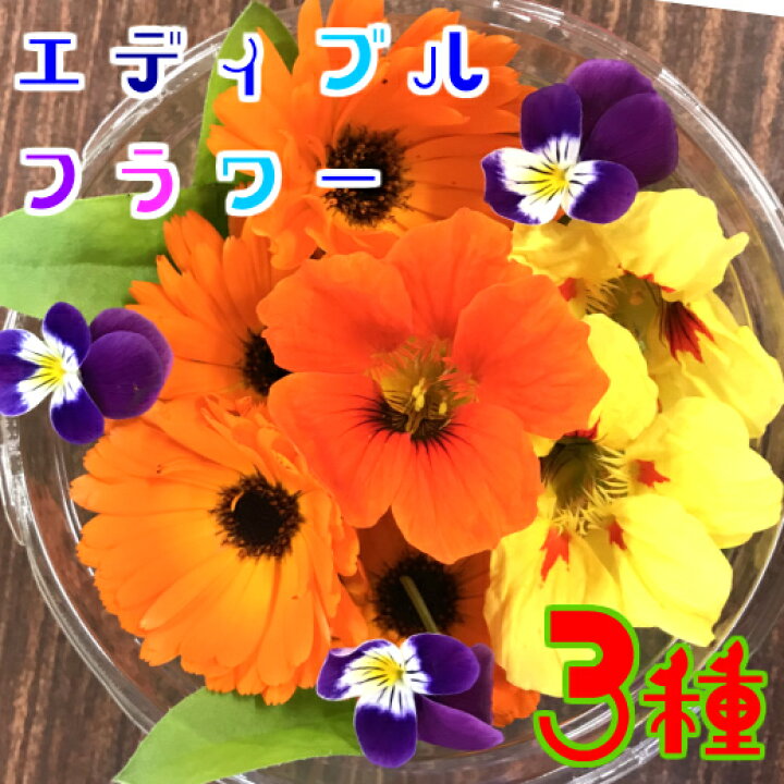 楽天市場 エディブルフラワー ３種セット 食用花 生花 水耕栽培 農家直送 産地直送 伊勢志摩産 ハーブ 食べられる花 有機種子使用 栽培期間中化学農薬不使用 デコレーション 飾りつけ 伊勢志摩おかげ野菜と仲間達