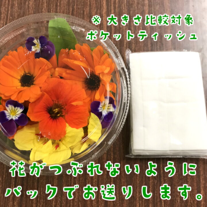 楽天市場 エディブルフラワー ３種セット 食用花 生花 水耕栽培 農家直送 産地直送 伊勢志摩産 ハーブ 食べられる花 有機種子使用 栽培期間中化学農薬不使用 デコレーション 飾りつけ 伊勢志摩おかげ野菜と仲間達