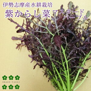 炵 炵 }X^[hp[vt 30g ɐuY k͔| T_  Zbg _ƒ Yn ɐuY  ₳ { ͔|Ԓw_sgp