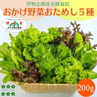 野菜セット 5種類詰め合せ 200g 水耕栽培 伊勢志摩産 生野菜 農家直送 サラダ 野菜詰め合わせ お試し セ…