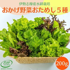 野菜セット 5種類詰め合せ 200g 水耕栽培 お試し セット お試しセット 一人暮らし 伊勢志摩産 生野菜 農家直送 サラダ 野菜詰め合わせ おまかせ セット レタス ベビーリーフ ハンサムグリーン 産地直送 おかげ野菜 やさい JGAP認証農場