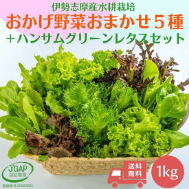 野菜セット 1kg 送料無料 水耕栽培 伊勢志摩産 おまかせおかげ野菜5種類＋ハンサムグリーンレタス詰め合せ 生野菜 農家直送 産地直送 サラダ 野菜詰め合わせ おまかせ セット レタス ベビーリーフ やさい JGAP認証農場