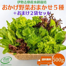 楽天市場 水耕栽培 野菜の通販