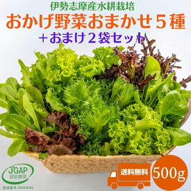 野菜セット500g 送料無料 水耕栽培 伊勢志摩産 おかげ野菜5種類＋おまけ野菜2袋詰め合せ サラダ 野菜詰め合わせ 生野菜 農家直送 おまかせ お試し セット お試しセット レタス ベビーリーフ 産地直送 おかげ野菜 やさい JGAP認証農場