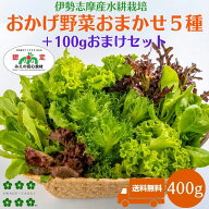 野菜セット 400g おかげ野菜5種類＋おまけ野菜100g 送料無料 水耕栽培 伊勢志摩産 農家直送 産地直送 野…