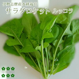 サラダロケット（ルッコラ）30g 伊勢志摩産 水耕栽培 産地直送 農家直送 サラダ 生野菜 ベビーリーフ おかげ野菜 栽培期間中化学農薬不使用 イタリア料理