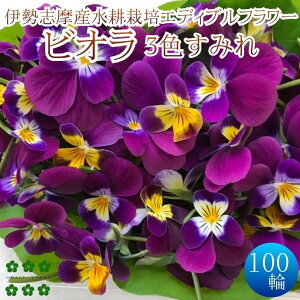 GfBut[ rIi3F݂j100 X~ Hp k͔| _ƒ Yn ɐuY Hׂ  n[u L@qgp ͔|Ԓw_sgp fR[V 