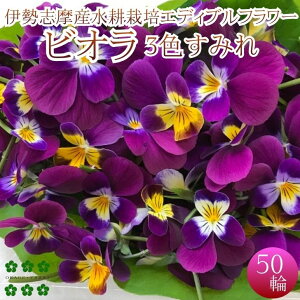 �G�f�B�u���t�����[ �r�I���i3�F���݂�j50�� �X�~�� �H�p�� ���k�͔| �_�ƒ��� �Y�n���� �ɐ��u���Y �H�ׂ���� �L�@��q�g�p �n�[�u ���� �͔|���Ԓ����w�_��s�g�p �f�R���[�V���� ��