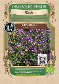 楽天市場 ビオラ 種の通販