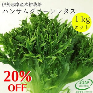 y20OFFz nTO[^XZbg Ղ 1kg k͔| ɐuY T_ [t^X  ₳ ؃Zbg lߍ킹 _ƒ Yn Ɩp  ͔|Ԓw