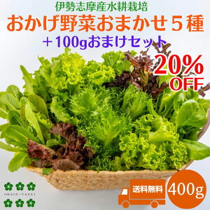 y20OFFz ؃Zbg 400g 5ށ{܂100g  k͔| ɐuY _ƒ Yn  lߍ T_ ؋lߍ킹 ܂  Zbg ₳ ^X 