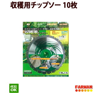 ŃMl np`bv\[ 10Zbg 180×24P En`bv\[