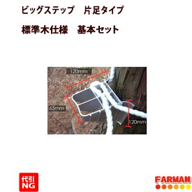 ビッグステップ （片足ステップ）【代引不可】巴化成