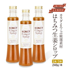 生姜シロップ 無添加 はちみつ生姜シロップ 240g 1本 3本 どちらかから選べます 生姜 蜂蜜 ジンジャーシロップ 無添加 無着色 無農薬 丹波産オーガニック生姜 まろやか 辛み控えめ生姜シロップ 保存料無添加 香料着色料無添加 冷えとり ひえとり