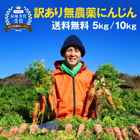 【受注開始！】人参 訳あり 無農薬にんじん 無農薬人参 ジュース用 スムージー用 5kg 10kg から選べる 傷あり 割れあり 栄養 ご家庭用 有機人参 送料無料 大特価 毎朝フレッシュジュース 搾りたてジュースに