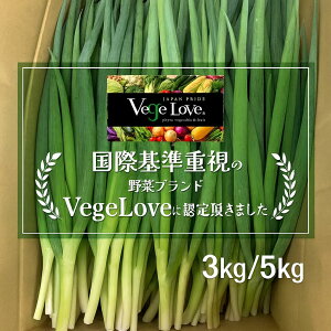 yVege LoveFz lM K 3kg 5kg Y \lM K lM5L lM ۑ ɌY ˂ L@ lM K ˂ ①ۑ Yn Y Ɩp ƒp Xp _ Hp ˂Ă 