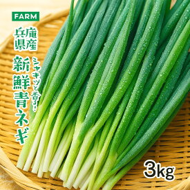 青ネギ3kg 太め 青ねぎ 業務用 ネギ ながねぎ 長ネギ 新鮮 青葱 中太 兵庫県産 太め 暑さに強い ネギ 販売 葱 ねぎ 青葱 3kg 国産 大容量 万能ネギ 長ネギ3キロ 長ネギ 国産ねぎ 有機 青ねぎ 冷蔵保存 産直 刻み ねぎ塩 焼きねぎ ネギキムチ 中葱 お好み焼き うどん ねぎ焼き
