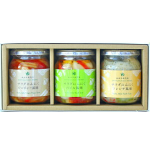  MtgwT_ɂɂV[Yirj3ZbgxΕ X^~iO jjN f my 蕨 lߍ킹 v[g ͂ N j  j Ԃ 3i 