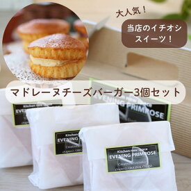 贈答菓子『マドレーヌチーズバーガー3個セット』ヒルナンデス スイーツ 送料無料 贈り物 焼き菓子 ホームパーティー 手土産 詰め合わせ おうち時間 お祝い 御祝 御礼 内祝 お返し 誕生日 プレゼント マドレーヌ 信州 箱入 バレンタインデー ホワイトデー