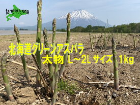 北海道の旨みをぎゅ～っと詰めた自慢のグリーンアスパラ！太物L~2Lサイズ1kg　新規出品特別価格！！　J-GAP認定農園　安心安全の徹底管理！　有機肥料たっぷり使用で旨みと香り豊か！　父の日　　贈り物　贈答用　クール便発送！　(有)ファーマーズワン　farmersone