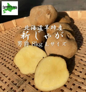 {̔_̂킸0.5IJ-GAPF_YskCrYtႪj݁@8kg@ ?`?TCY@@L@엿Ղgp@VN@ _ƒ@potato Ⴊ@񂵂Ⴍ@|e