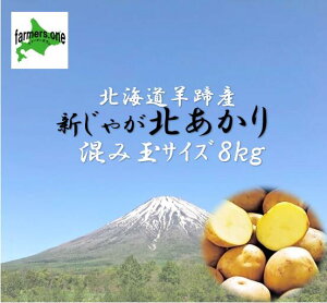 GAPF_@kCrY@ႪkI8kg LTCY@VN@ _ƒ@̂ꂽā@potato Ⴊ@@tC@T_@Ⴊo^[@()t@[}[Y@farmersone