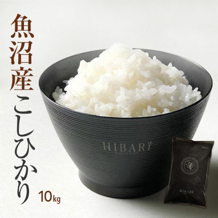 玄米　10kg コシヒカリ　新米　埼玉県産　令和5年産　送料無料　米　10キロ