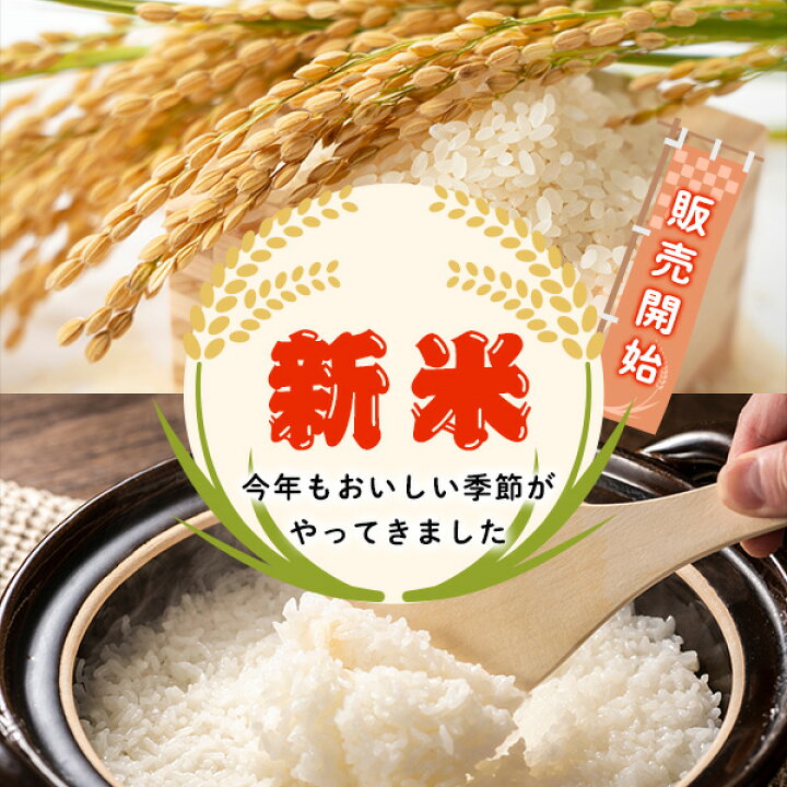 楽天市場】翠 5kg そらきらり 北海道産 農家直売 農家直送 5キロ 