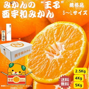 Fa 2.5Kg 4Kg 5Kg S`LTCY Ε Ε ~J  Q QY Fa݂ L@ Â x ZT[ ZT[  蕨 ~O ݂lߍ킹 ݂ Â݂ 