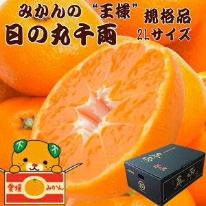 y11蔭z ݂ ~J  Q Fa ̊ې痼 Fa݂ 2.5Kg 5Kg 2LTCY ݂ Â݂ Q~J ݂񔠔 ݂ t[c ʕ Q 