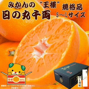 ݂ Q Fa ̊ې痼 2.5kg 5kg L`STCY Ε ~J  Fa݂ Q ݂ ݂  Mtg 蕨 Â ܂ x   uh 