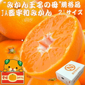 y\tz ݂ \ ~J   Q Fa Fa݂ 2.5Kg 4Kg 5Kgi2.5Kg×2j2LTCY Q ~݂ Ε Q~J Ε  ݂ 蕨 Â ܂ 