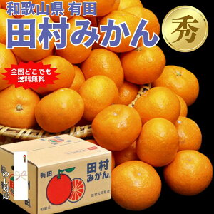 【11月より発送】田村みかん 有田みかん 約 3kg 和歌山県産 秀 有田 みかん 果物 フルーツ 3キロ ギフト 贈答 御歳暮 ミカン 蜜柑 和歌山 和歌山ミカン 高級みかん 高級フルーツ 高級果物 季節