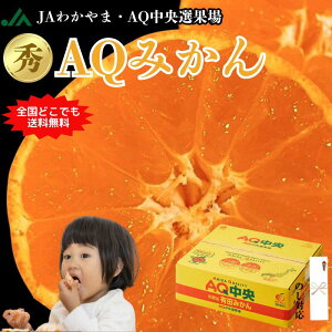 有田AQみかん 約3kg和歌山県産 和歌山 有田 みかん ありたみかん 和歌山ミカン みかん3キロ 高級みかん 高級フルーツ 高級果物 ミカン 蜜柑 AQみかん 和歌山みかん 有田ブランド 御歳暮 ギフト