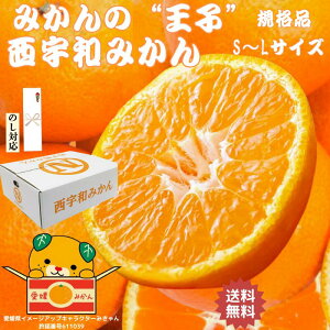 ݂ ~J  Q Fa Fa݂ 2.5Kg S`LTCY ݂lߍ킹 ݂ Â݂ ݂񔠔 Q Ε Ε  蕨 Â ܂ ~O ̊  