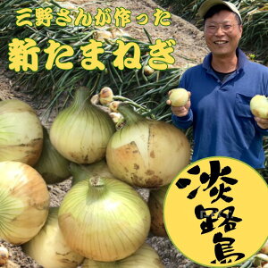 �y�|�C���g5�{�I���񂨎������i�z�V�ʂ˂� 5kg 10kg �V�^�}�l�M �V���܂˂� �V�ʔK �W�H�� �V�� �V���� ���܂˂� �^�}�l�M �󂠂� �G�i ���܂˂�5kg �������� �ʂ˂�10�L�� �^�}�l�M10kg �ʂ˂� 