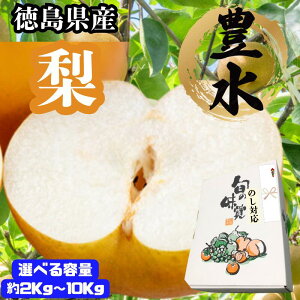 _8/18蔭Jn^Y L  Ȃ iV nashi Gi 2Kgi6`7ʁj3Kgi8`12ʁj10Kgi28ʁ`36ʁjG߂̉ʕ  蕨 i  Mtg t[cMtg  