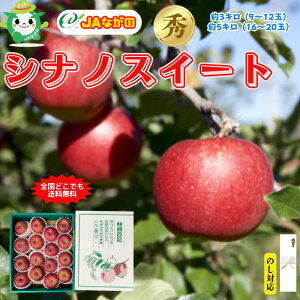 【本日ポイント5倍】JAながの シナノスイート りんご リンゴ 林檎 秋りんご 贈り物 贈答品 秀品 希少品種 甘い 長野県産 送料無料 ギフト