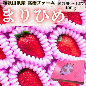 【本日ポイント5倍！】まりひめ 苺 和歌山産 9～12粒入り 苺 高級ギフト いちご イチゴ 季節の果物 フルーツギフト フルーツ ギフト プレゼント 贈答品 贈り物 お土産 入学祝い お祝い 内祝い 快気祝い 退院祝い お見舞い お供え 送料込み ホワイトデー バレンタインデー