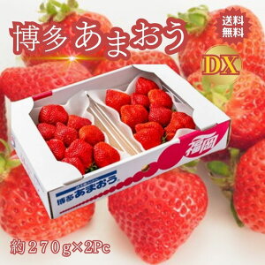 Sǂł N[  ܂  DX O[h 270g × 2pbN ܂ ܂  Â   C`S itigo ܂   Mtg 