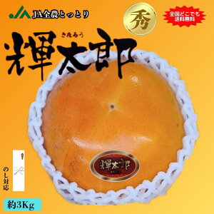 yȂ`z JAƂƂ ` 3kg 挧  ʕ   傫 Â x    ̂ 蕨  p Mtg  낤 G߂̉ʕ H̖o H̉ʕ j 