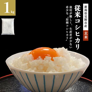 ߘa7NY@VFؓʍ͔|ā@V Ђ ]RVqJ 5kg/10kg/20kg/30kg RVqJ VY VY@_ƒ //10Â  ͂  t@[썶