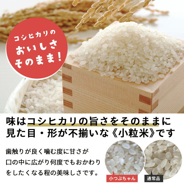 お取引中)④令和6年コシヒカリ新米⭐️1等米⭐️稲刈りをした 