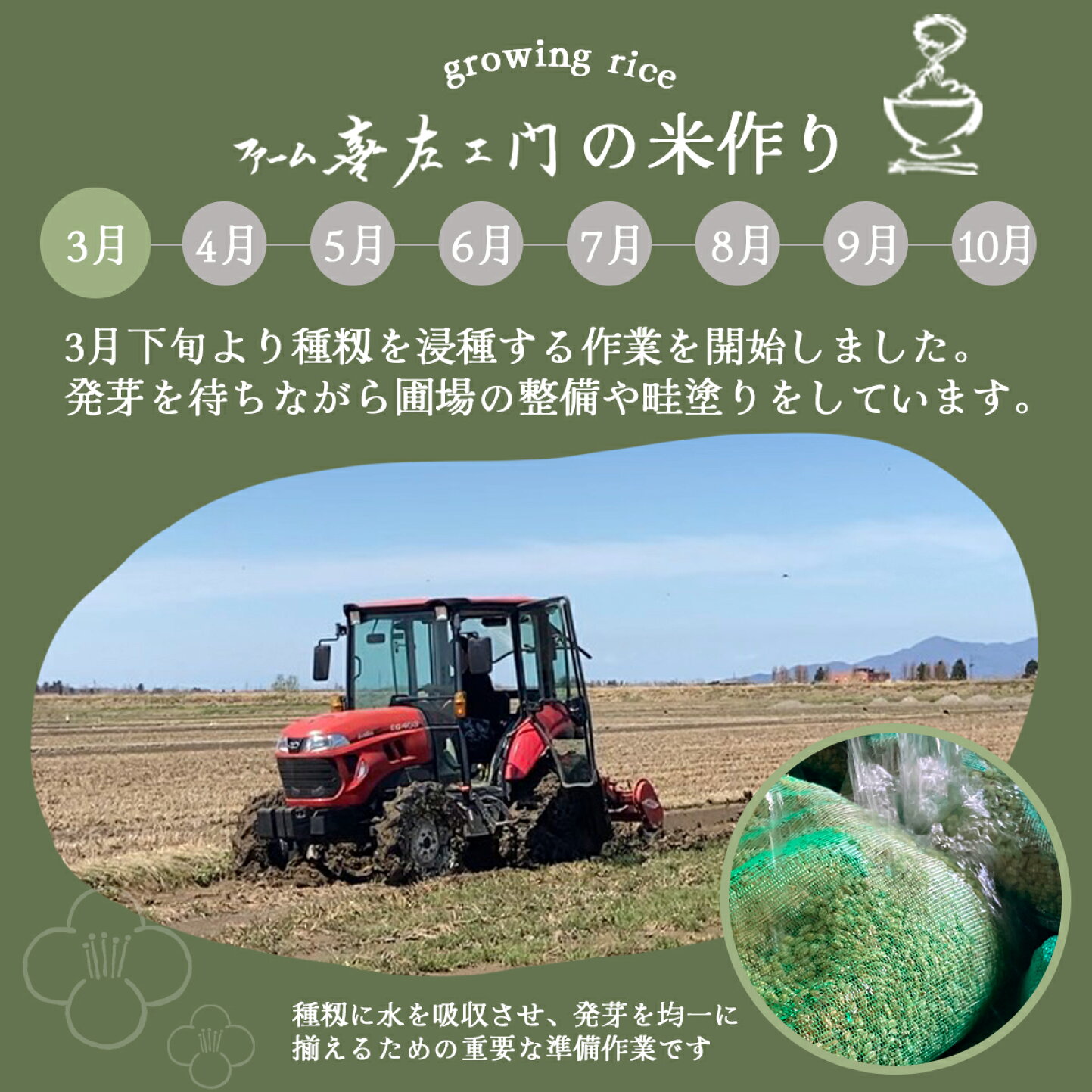 楽天市場 | 新潟県ファーム喜左ヱ門 - 新潟で8代続く米農家。幻の希少 