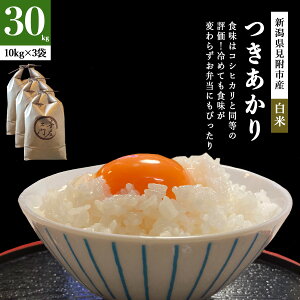 ߘa7NY V  5kg/10kg/20kg/30kg VY VY@_ƒ@ /  ͂  t@[썶