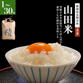 楽天市場】令和7年 新潟県産 にじのきらめき 30kg 農家直送 玄米 白米 
