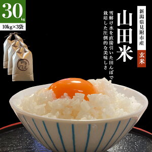 ߘa7NY@VFؓʍ͔|ā@V Rc Ђ 5kg/10kg/20kg/30kg RVqJ VY VY _ƒ@  ͂  t@[썶