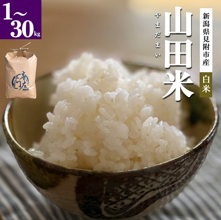 楽天市場】令和7年 新潟県認証特別栽培米 山田米 こしひかり1kg 3kg 