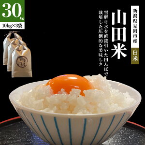 ߘa7NY@VFؓʍ͔|ā@V Rc Ђ 5kg/10kg/20kg/30kg RVqJ VY VY@_ƒ@ //10Â  ͂  t@[썶