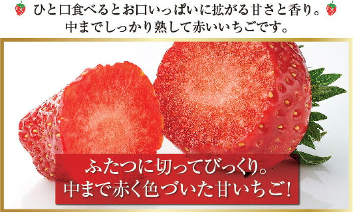 楽天市場】【販売終了】いちご 中まで真っ赤な蜜いちご 大粒 約450g×1 確認用苺中